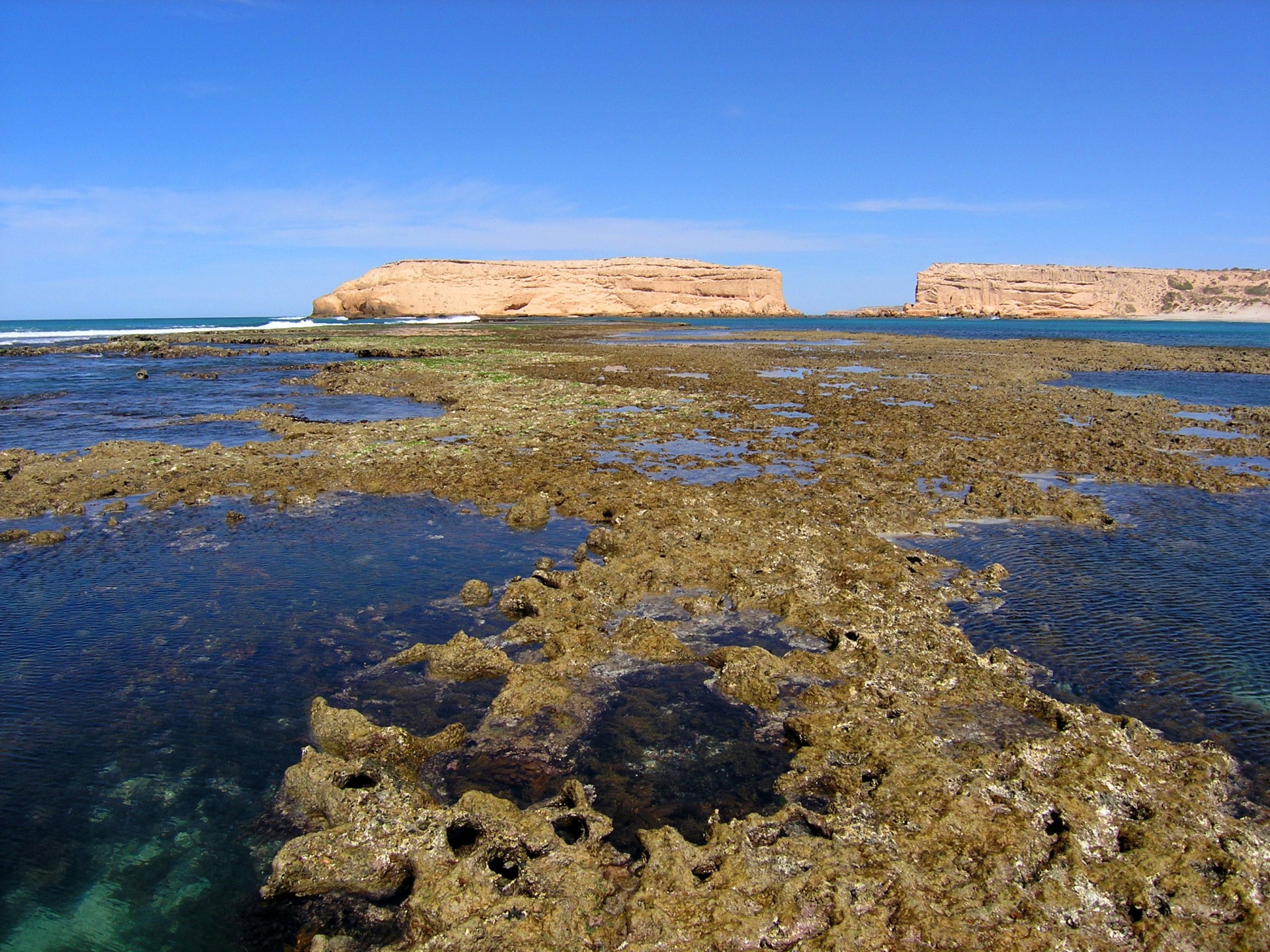 Little Tuckermore stone reef