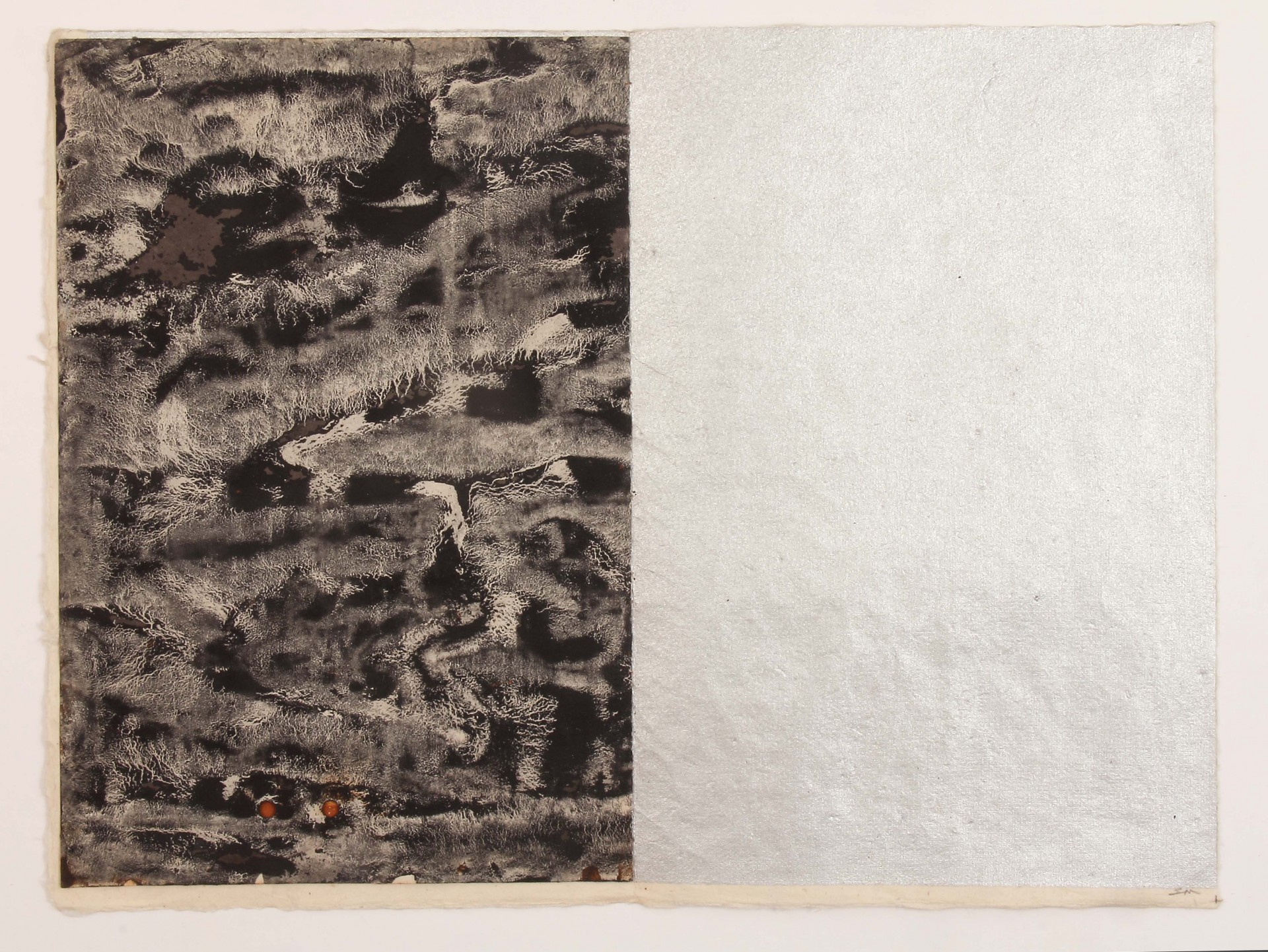 Paint Sample for Greer 5 & 6